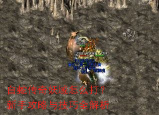 白蛇传奇妖域怎么打?新手攻略与技巧全解析 白蛇传奇妖域怎么打?新手攻略与技巧全解析