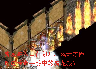 ħ����������Ķ���ô�߲��ܵ��ﴫ�������е�ħ���