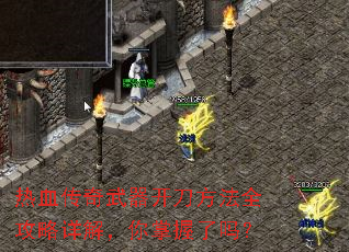 ��Ѫ����������������ȫ������⣬����������