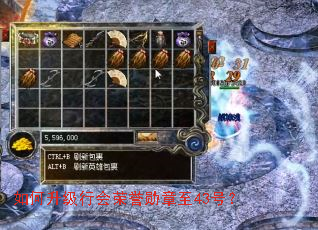 如何升级行会荣誉勋章至43号? 如何升级行会荣誉勋章至43号?