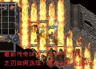 ���´���SF�У�������������֮�����ѡ�����ԶԱ�ȫ����