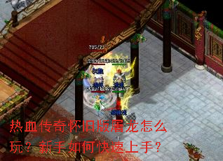 ��Ѫ���滳�ɰ�������ô�棿������ο������֣�