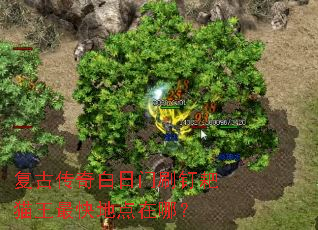 ���Ŵ��������ˢ����è�����ص����ģ�