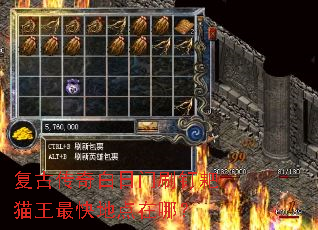 ���Ŵ��������ˢ����è�����ص����ģ�