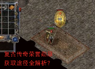 ���Ŵ�������ѫ�»�ȡ;��ȫ������