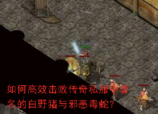 ��θ�Ч���ܴ���˽���������İ�Ұ����а���ߣ�