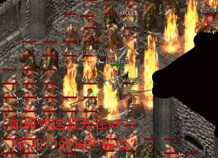 ��ο���������sf777�·��еĽ�ɫ�ȼ���