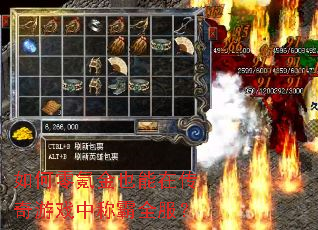 �����봽�Ҳ���ڴ�����Ϸ�гư�ȫ����