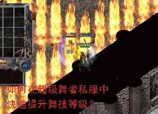 ����ڳ�������˽���п��������輼�ȼ���