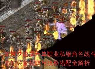如何快速提升单职业私服角色战斗力?装备获取与技能搭配全解析 如何快速提升单职业私服角色战斗力?装备获取与技能搭配全解析