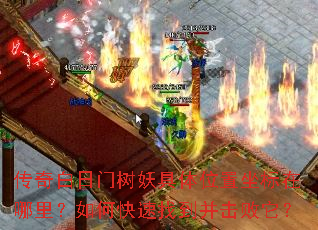 传奇白日门树妖具体位置坐标在哪里?如何快速找到并击败它? 传奇白日门树妖具体位置坐标在哪里?如何快速找到并击败它?