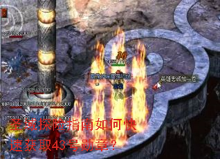 圣域探险指南如何快速获取43号勋章? 圣域探险指南如何快速获取43号勋章?
