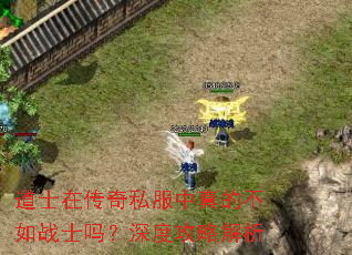道士在传奇私服中真的不如战士吗?深度攻略解析 道士在传奇私服中真的不如战士吗?深度攻略解析
