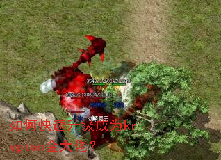 ��ο���������Ϊkrypton����У�