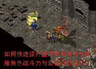如何快速提升蓝月至至尊传奇私服角色战斗力与装备获取技巧? 如何快速提升蓝月至至尊传奇私服角色战斗力与装备获取技巧?