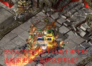 �����洫���սʿ�͵�ʿ�ĸ�ְҵ��Ҹ��ࣿ���ѡ��ְҵ��