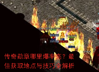 ����ѫ�����ﱬ�ʸߣ���ѻ�ȡ�ص��뼼��ȫ����