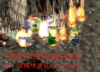�������編ʦѫ�±���Ƕ��٣���ο��ٻ�ȡ��������