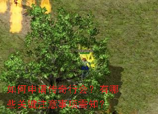 ������봫���л᣿����Щ�ؼ�ע��������֪��