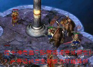 道士神兽血量随等级提升如何变化?高等级神兽生存能力攻略解析 道士神兽血量随等级提升如何变化?高等级神兽生存能力攻略解析