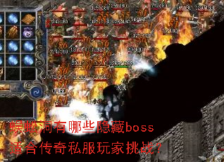 ��򼶴����Щ����boss�ʺϴ���˽�������ս��