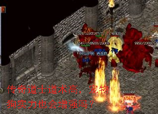 传奇道士道术高,宠物狗实力也会增强吗? 传奇道士道术高,宠物狗实力也会增强吗?