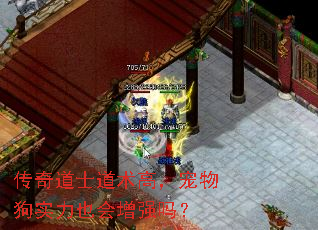 传奇道士道术高,宠物狗实力也会增强吗? 传奇道士道术高,宠物狗实力也会增强吗?
