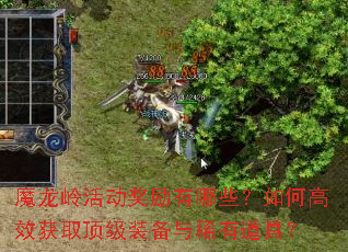 ħ������������Щ����θ�Ч��ȡ����װ����ϡ�е��ߣ�