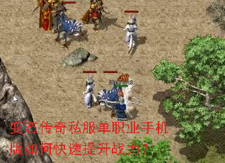 变态传奇私服单职业手机版如何快速提升战力? 变态传奇私服单职业手机版如何快速提升战力?