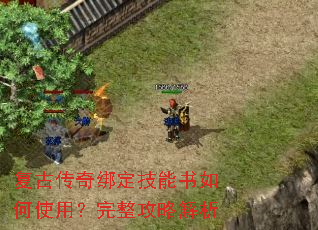 ���Ŵ���󶨼��������ʹ�ã��������Խ���