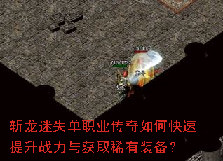 ն����ʧ��ְҵ������ο�������ս�����ȡϡ��װ����