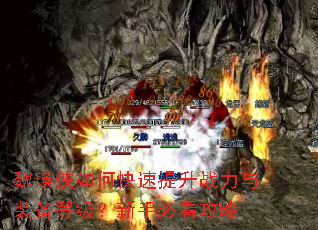魏瑛侠如何快速提升战力与装备等级?新手必看攻略 魏瑛侠如何快速提升战力与装备等级?新手必看攻略