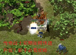 传奇战士前期如何快速升级?新手必看攻略 传奇战士前期如何快速升级?新手必看攻略