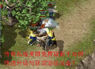 传奇私服英雄免费版新手如何快速升级与获取顶级装备? 传奇私服英雄免费版新手如何快速升级与获取顶级装备?