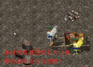 单机传奇游戏新手入门有哪些必知技巧与攻略? 单机传奇游戏新手入门有哪些必知技巧与攻略?