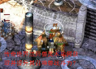 传奇世界法师兽灵术如何获取并提升其召唤兽战斗力? 传奇世界法师兽灵术如何获取并提升其召唤兽战斗力?