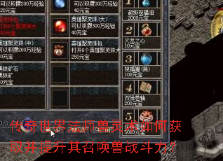 传奇世界法师兽灵术如何获取并提升其召唤兽战斗力? 传奇世界法师兽灵术如何获取并提升其召唤兽战斗力?