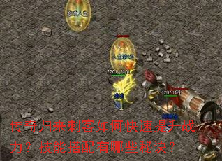 传奇归来刺客如何快速提升战力?技能搭配有哪些秘诀? 传奇归来刺客如何快速提升战力?技能搭配有哪些秘诀?