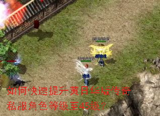 如何快速提升黄日华版传奇私服角色等级至45级? 如何快速提升黄日华版传奇私服角色等级至45级?