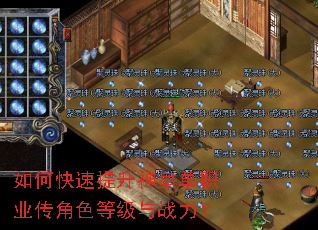 如何快速提升神皇单职业传角色等级与战力? 如何快速提升神皇单职业传角色等级与战力?