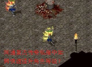 网通复古传奇私服中如何快速提升角色等级? 网通复古传奇私服中如何快速提升角色等级?