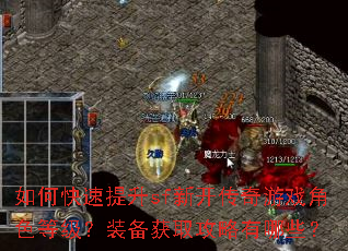 如何快速提升sf新开传奇游戏角色等级?装备获取攻略有哪些? 如何快速提升sf新开传奇游戏角色等级?装备获取攻略有哪些?