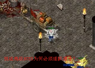挑战高级BOSS为何必须组队道士? 挑战高级BOSS为何必须组队道士?