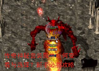 传奇神秘套装属性如何查看与选择?新手必看攻略 传奇神秘套装属性如何查看与选择?新手必看攻略
