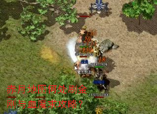 赤月地图何处刷金刚与血魔求攻略? 赤月地图何处刷金刚与血魔求攻略?
