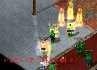 SF单号在传奇游戏中具体指什么? SF单号在传奇游戏中具体指什么?