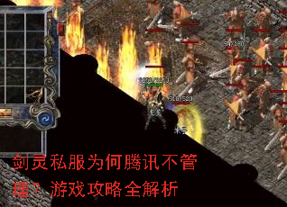 剑灵私服为何腾讯不管理?游戏攻略全解析 剑灵私服为何腾讯不管理?游戏攻略全解析