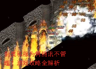 剑灵私服为何腾讯不管理?游戏攻略全解析 剑灵私服为何腾讯不管理?游戏攻略全解析