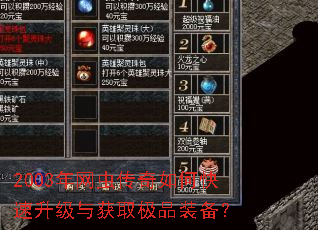2003年网虫传奇如何快速升级与获取极品装备? 2003年网虫传奇如何快速升级与获取极品装备?