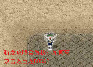 斩龙攻略全解析:如何高效击败巨龙BOSS? 斩龙攻略全解析:如何高效击败巨龙BOSS?